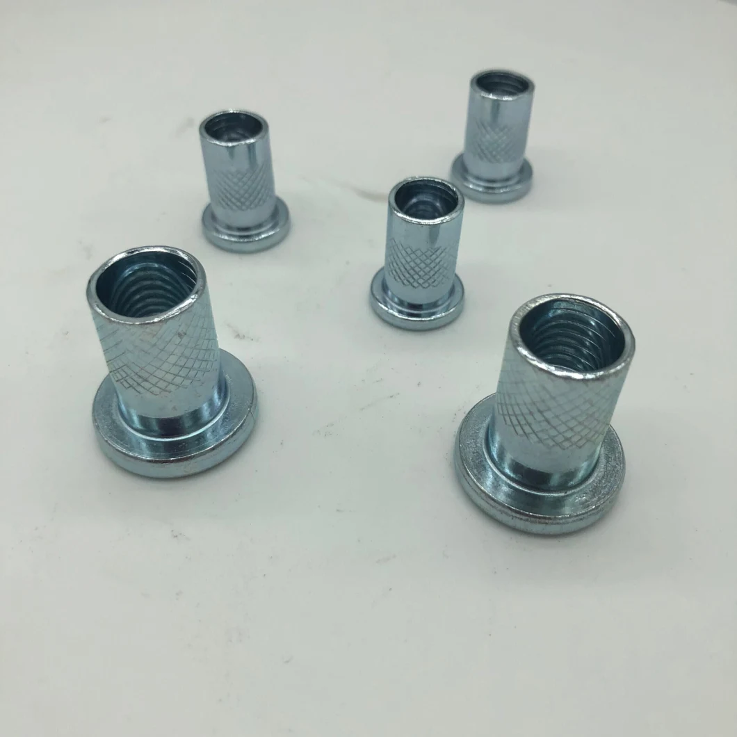 M20 M6 M12 Titanium Special M2 Flat Head Stainless Steel Custom Brass M8 Blind Riveting Rivet Nut