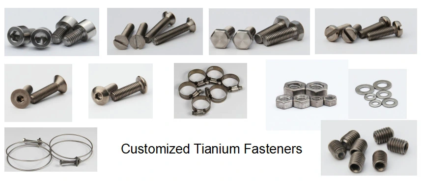 China Supplier Gr5 Titanium Nut and Bolt